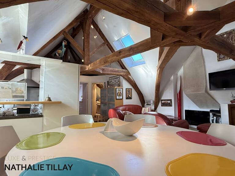 Appartement esprit loft, a vendre, Face Loire Orleans, dernier etage en hotel particulier — photo 1