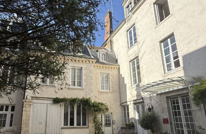 Appartement esprit loft, a vendre, Face Loire Orleans, dernier etage en hotel particulier — photo 2