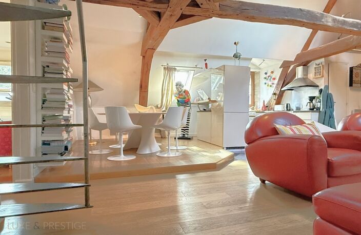 Appartement esprit loft, a vendre, Face Loire Orleans, dernier etage en hotel particulier — photo 4