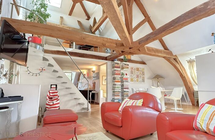 Appartement esprit loft, a vendre, Face Loire Orleans, dernier etage en hotel particulier — photo 5