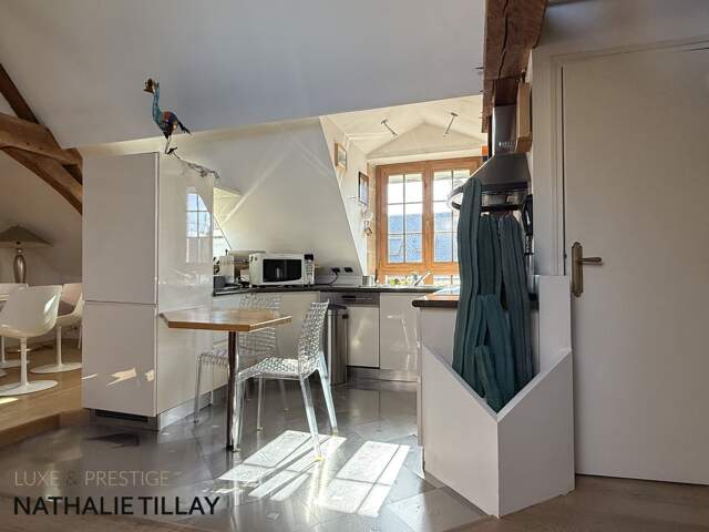 Appartement esprit loft, a vendre, Face Loire Orleans, dernier etage en hotel particulier — photo du bien