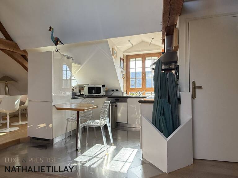 Appartement esprit loft, a vendre, Face Loire Orleans, dernier etage en hotel particulier — photo 1