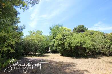 Terrain  320000 €