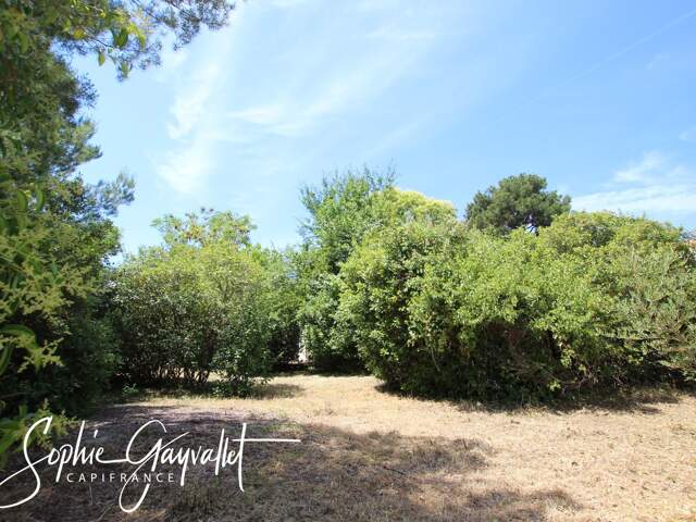VELAUX – MAGNIFIQUE TERRAIN CONSTRUCTIBLE LIBRE CONSTRUCTEUR — photo du bien