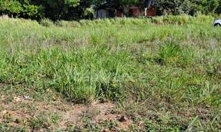 Terrain  800 m² à vendre à Sainte-Rose (97115)