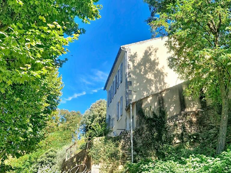 VIAGER OCCUPÉ – MÉNERBES – MAISON DE CARACTÈRE AVEC VUE SUR LE LUBERON — photo 1