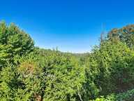 VIAGER OCCUPÉ – MÉNERBES – MAISON DE CARACTÈRE AVEC VUE SUR LE LUBERON — photo 2