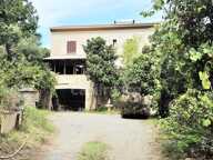 BORGO – Propriété à fort potentiel : 393 m² habitables + 2 980 m² de terrain – 395 000 € — photo 2