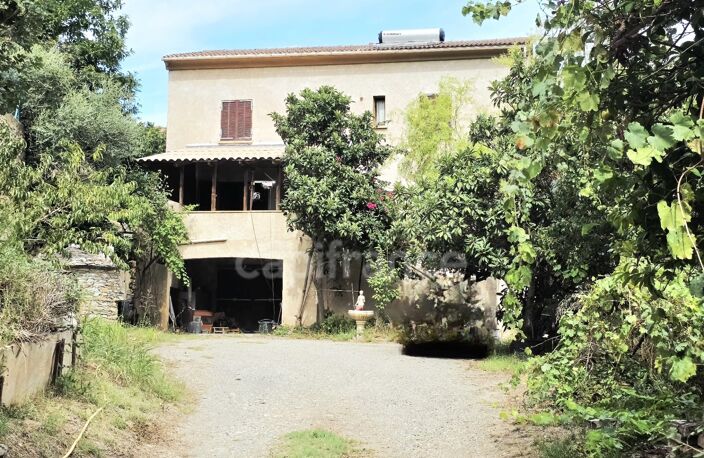 BORGO – Propriété à fort potentiel : 393 m² habitables + 2 980 m² de terrain – 395 000 € — photo 2