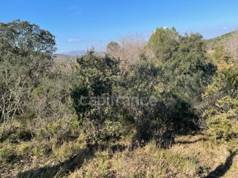 Var (83), à vendre GASSIN Terrain Agricole Zone AOC environ 17 000 m² (1 ha 7a) (31 euros/m2) — photo 1