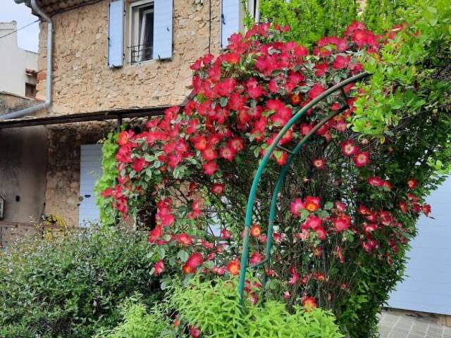 MAISON DE VILLAGE EN PIERRES T5 - JARDIN - CAVES — photo du bien
