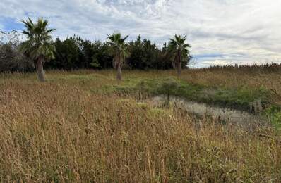 Terrain À Vendre 1 700m2 Constructible  SEMUSSAC secteur calme — photo du bien