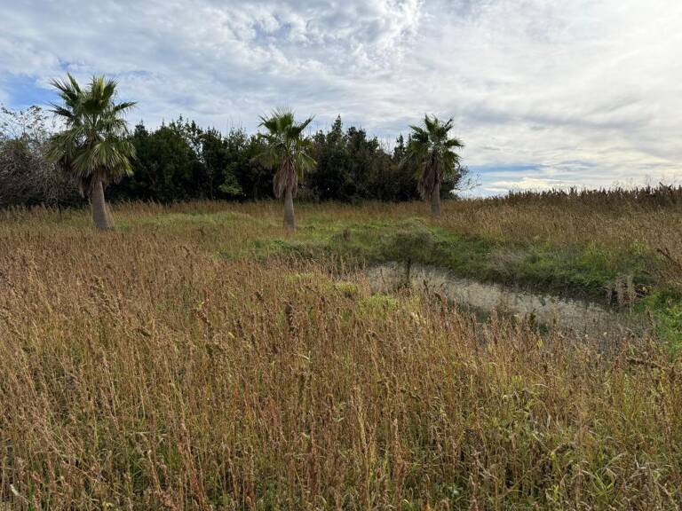 Terrain À Vendre 1 700m2 Constructible  SEMUSSAC secteur calme — photo 1