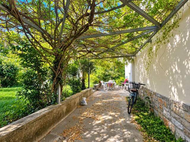 Toulouse Roseraie - Bonnefoy Maison type 6 au calme sur terrain arboré et piscinable — photo du bien