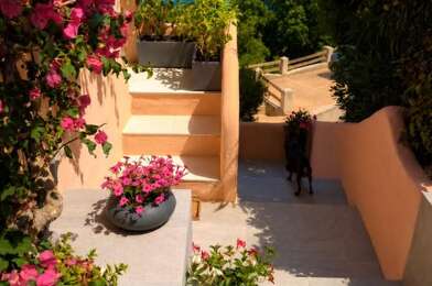 Appartement 1 pièces 220000 €