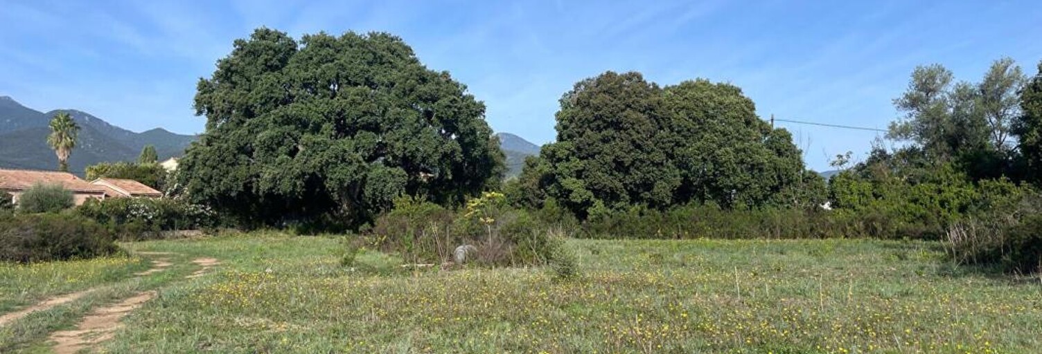 Terrain  900 m² à vendre à Ghisonaccia (20240)