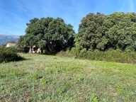A vendre- Terrain constructible de 900 m2- vue montagnes, Ghisonaccia-Gare — photo 2