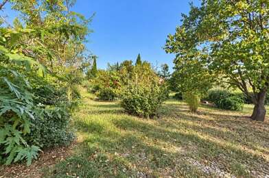 Terrain  636000 €