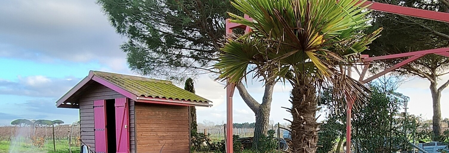 Photo N° 2