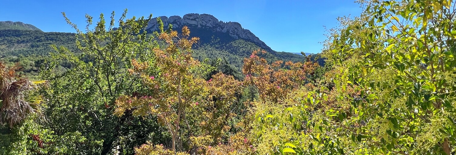Maison 7 Pièces 197 m² à vendre à Buis-les-Baronnies (26170)
