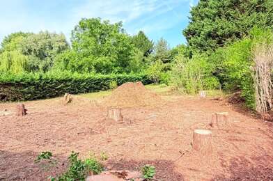 Terrain  85500 €