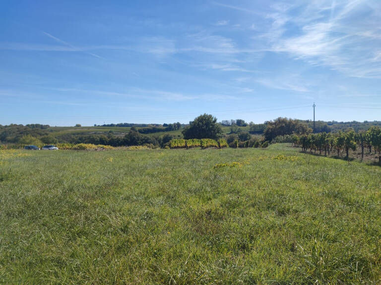 Terrain à bâtir à Créon (33670) — photo 1