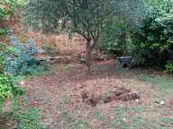 Maison de village de caractère – 3 chambres – jardin – Hauterives — photo 3