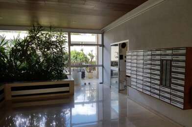 Appartement 1 pièces 530 €
