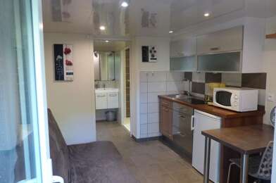 Appartement 1 pièces 310 €