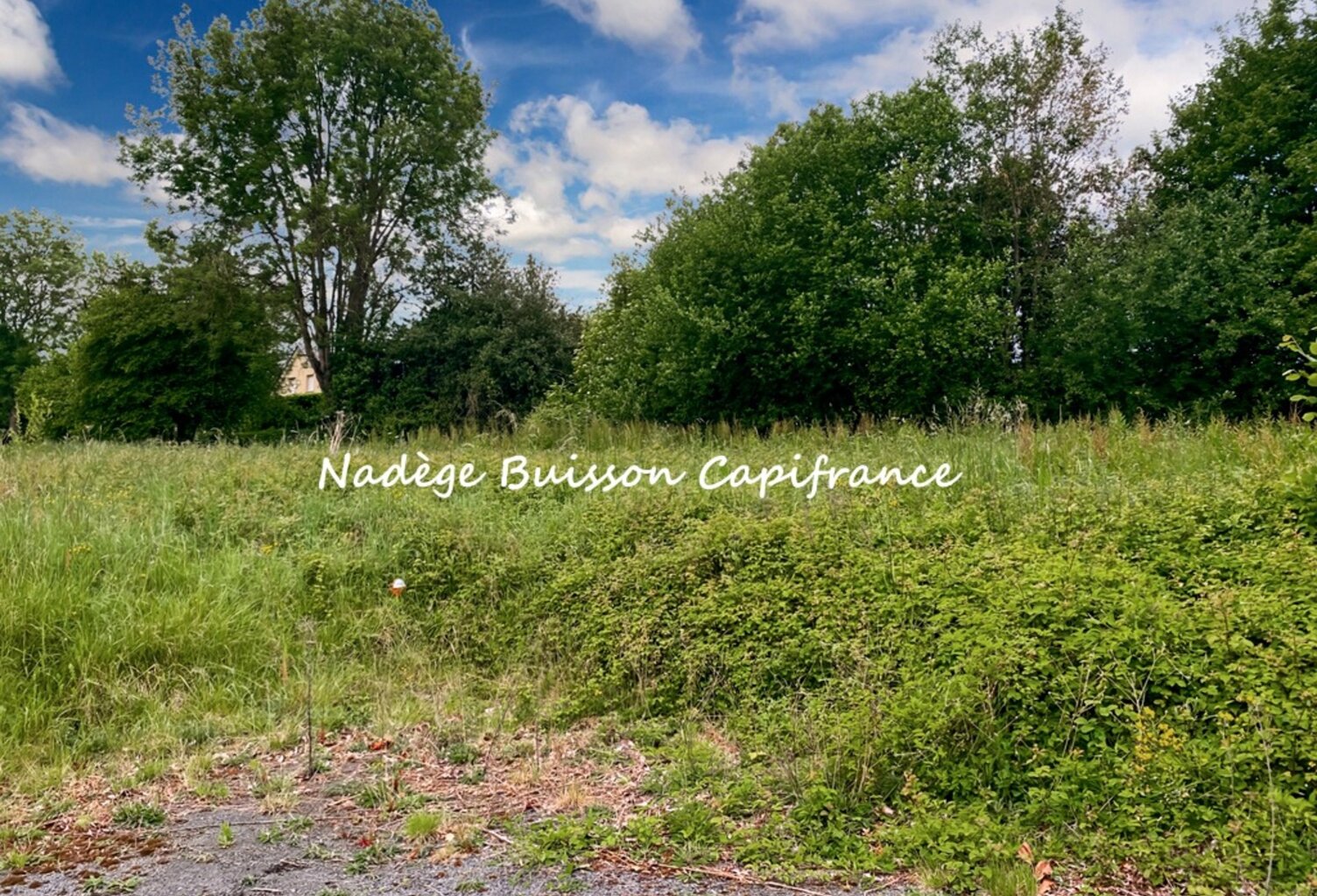 À vendre – Terrain d’exception de 2 141 m² à GONNEVILLE SUR MER (secteur classé) — photo 1
