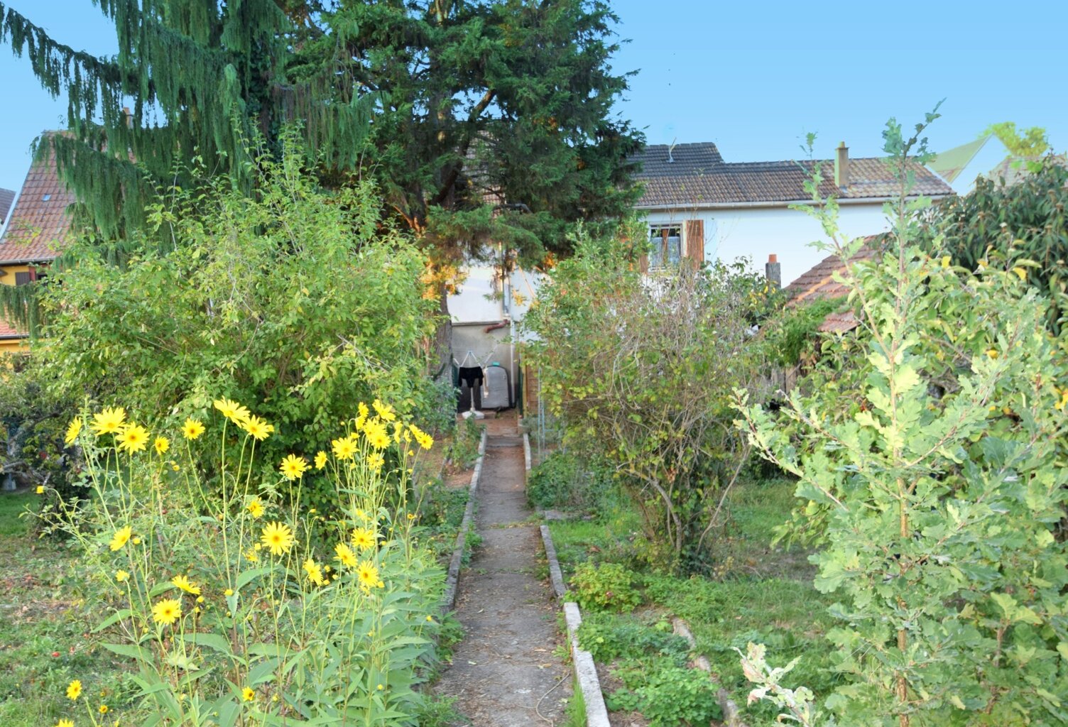 Maison à vendre 8 pièces ENSISHEIM (68) — photo 1