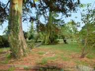 Maison à vendre 8 pièces ENSISHEIM (68) — photo 4
