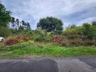 Terrain non constructible à vendre  CROZON (29) — photo 3