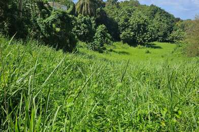 Terrain  95000 €