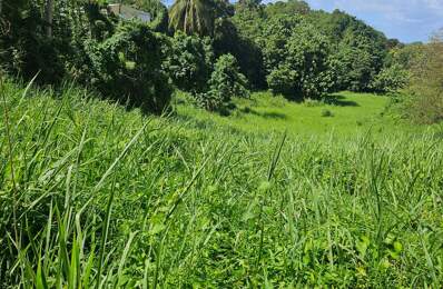 Terrain constructible de 915 m² – Les Abymes Cocoyer — photo du bien