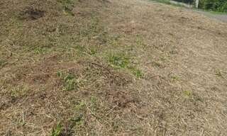 Terrain  900 m² à vendre à Le François (97240)