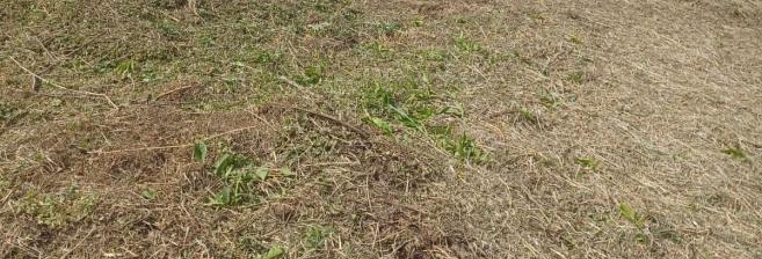 Terrain  900 m² à vendre à Le François (97240)