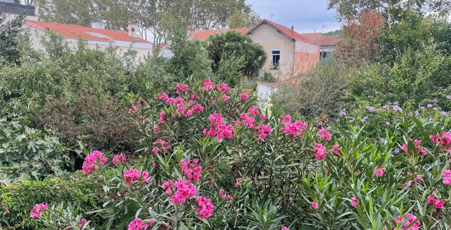 Maison À Vendre — photo 1