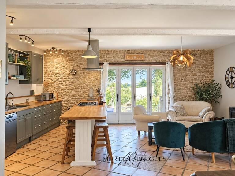 Maison chaleureuse,  pierre apparente avec gite et piscine chauffée, 11420 Pech Luna — photo 1