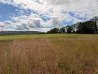 Terrain constructible sur 950 m2 viabilisé — photo 2