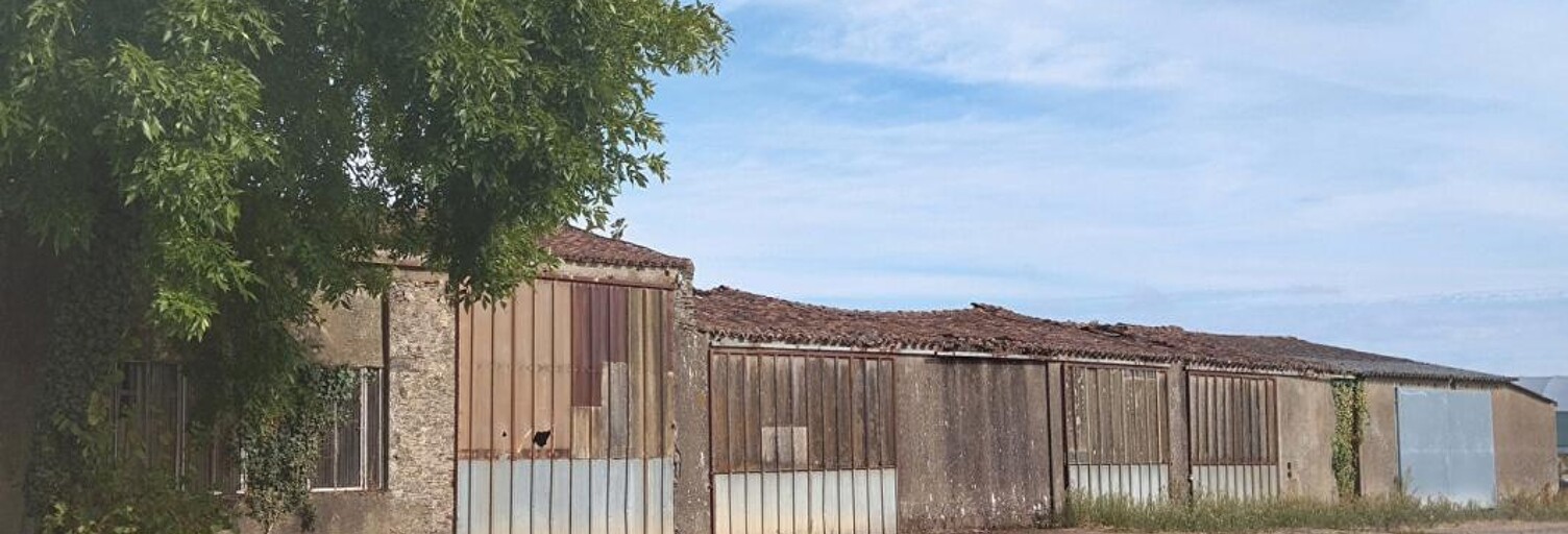 Maison 6 Pièces 285 m² à vendre à Le Loroux-Bottereau (44430)