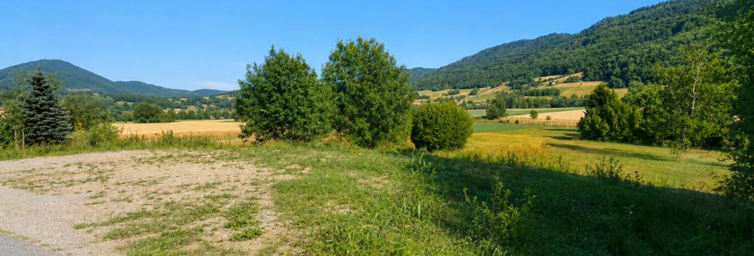 Photo N° 2