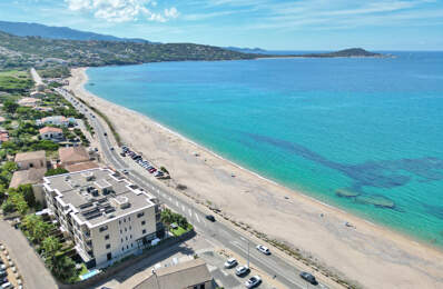 RIVE SUD Agosta Plage - Superbe T3 traversant vue mer + Gara — photo du bien