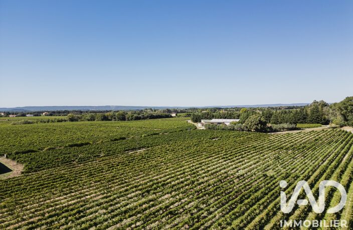 Vente Agriculture, Viticulture 800 m&sup2; — photo 3