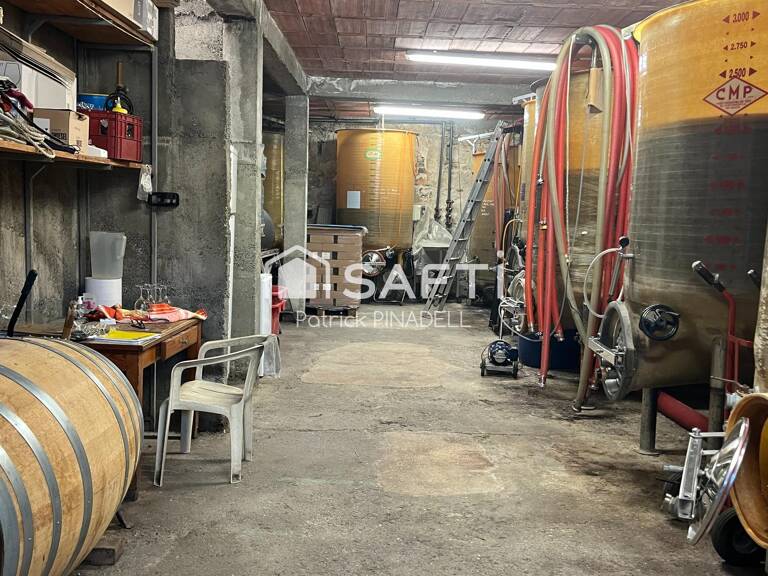 Domaine viticole avec cave, vignes et matériel d'exploitation — photo 1