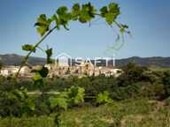 Domaine viticole avec cave, vignes et matériel d'exploitation — photo 2