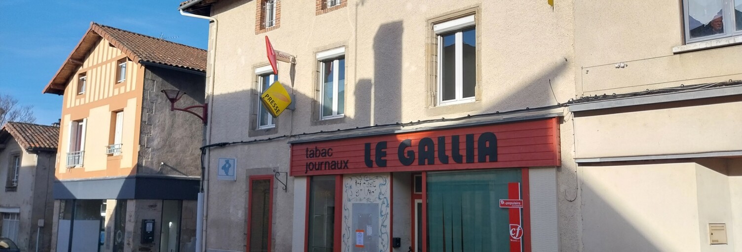 Maison 6 Pièces 241 m² à vendre à Saint-Victurnien (87420)