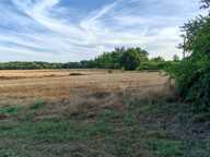 Vaste domaine — photo 3