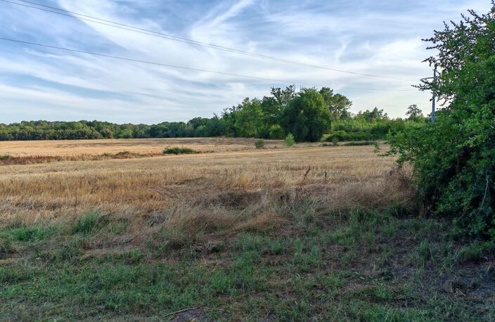 Vaste domaine — photo 3