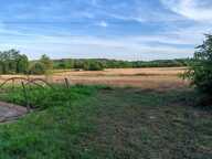 Vaste domaine — photo 4